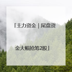 主力资金｜尾盘资金大幅抢筹2股
