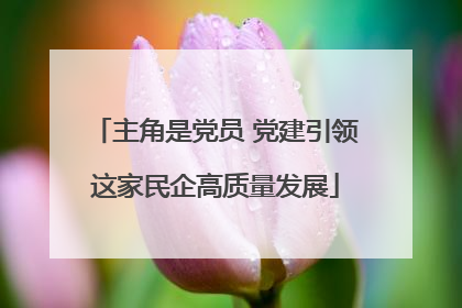 主角是党员 党建引领这家民企高质量发展