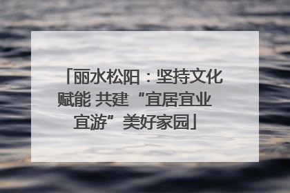丽水松阳：坚持文化赋能 共建“宜居宜业宜游”美好家园