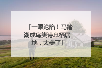一眼沦陷！马踏湖成鸟类诗意栖居地，太美了