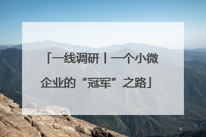 一线调研丨一个小微企业的“冠军”之路