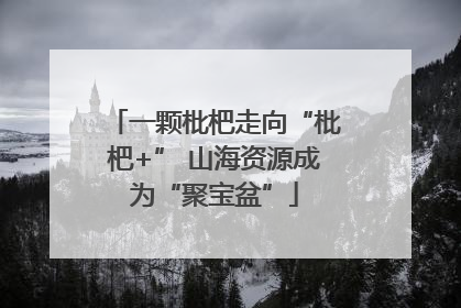 一颗枇杷走向“枇杷+” 山海资源成为“聚宝盆”