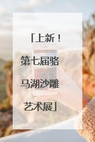 上新！第七届骆马湖沙雕艺术展