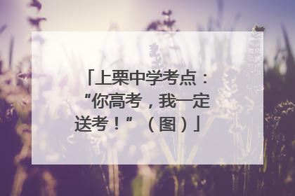 上栗中学考点：“你高考，我一定送考！”（图）