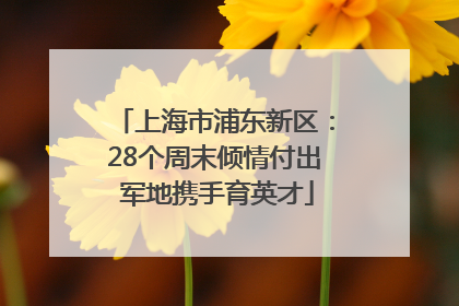 上海市浦东新区：28个周末倾情付出 军地携手育英才