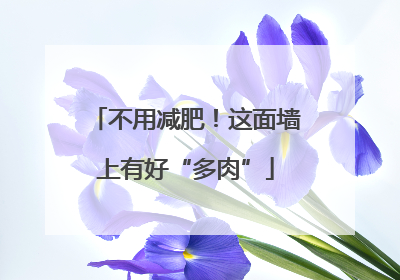 不用减肥！这面墙上有好“多肉”
