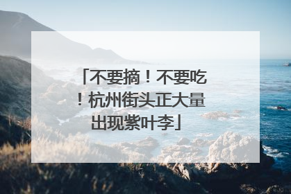 不要摘！不要吃！杭州街头正大量出现紫叶李