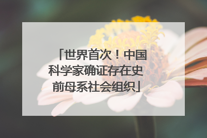 世界首次！中国科学家确证存在史前母系社会组织