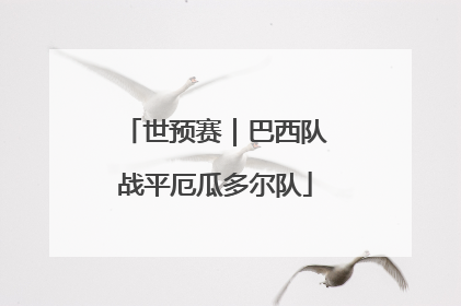 世预赛｜巴西队战平厄瓜多尔队