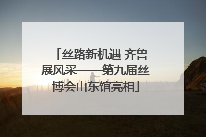 丝路新机遇 齐鲁展风采——第九届丝博会山东馆亮相