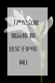 严纪立规强运检 精技实干护电网