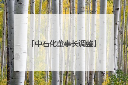 中石化董事长调整
