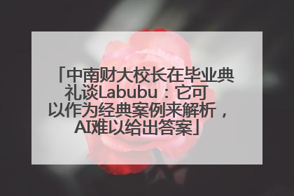 中南财大校长在毕业典礼谈Labubu：它可以作为经典案例来解析，AI难以给出答案