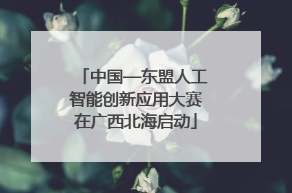 中国—东盟人工智能创新应用大赛在广西北海启动