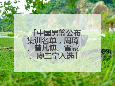 中国男篮公布集训名单，周琦、曾凡博、雷蒙、廖三宁入选