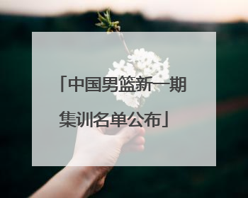 中国男篮新一期集训名单公布