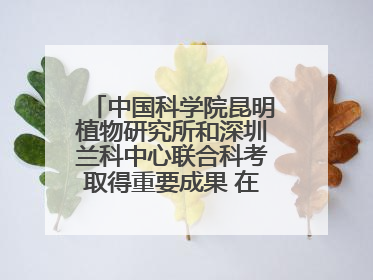中国科学院昆明植物研究所和深圳兰科中心联合科考取得重要成果 在神农架发现两种“国保”级兰花