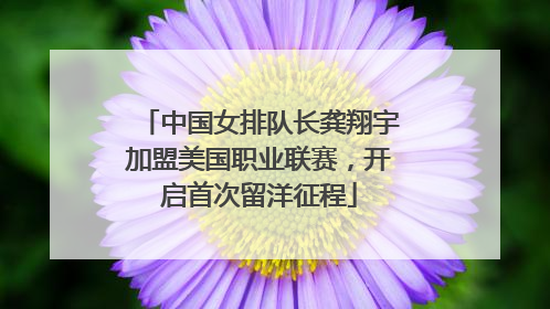 中国女排队长龚翔宇加盟美国职业联赛，开启首次留洋征程