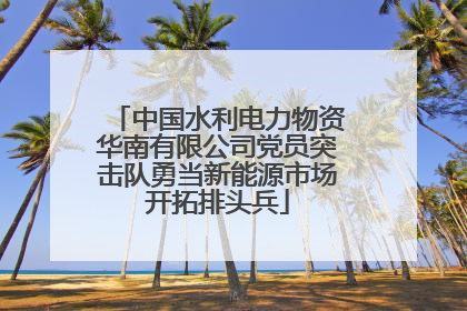中国水利电力物资华南有限公司党员突击队勇当新能源市场开拓排头兵
