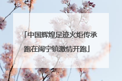 中国辉煌足迹火炬传承跑在闽宁镇激情开跑