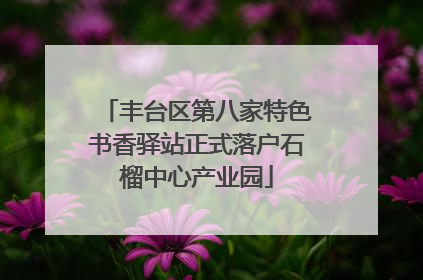 丰台区第八家特色书香驿站正式落户石榴中心产业园