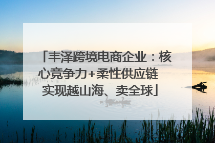 丰泽跨境电商企业：核心竞争力+柔性供应链 实现越山海、卖全球