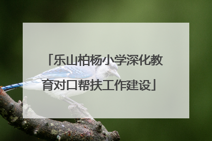 乐山柏杨小学深化教育对口帮扶工作建设