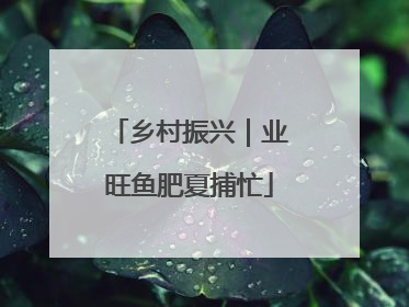 乡村振兴｜业旺鱼肥夏捕忙