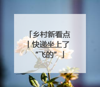 乡村新看点丨快递坐上了“飞的”