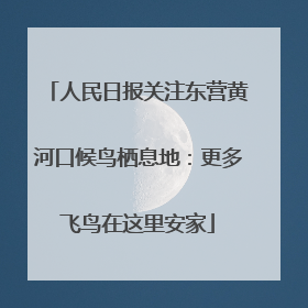 人民日报关注东营黄河口候鸟栖息地：更多飞鸟在这里安家