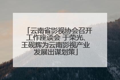 云南省影视协会召开工作座谈会 于荣光、王砚辉为云南影视产业发展出谋划策