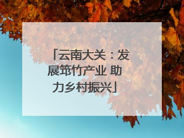 云南大关：发展筇竹产业 助力乡村振兴
