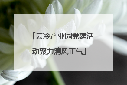 云冷产业园党建活动聚力清风正气