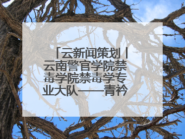 云新闻策划丨云南警官学院禁毒学院禁毒学专业大队——青衿之志辉映警徽