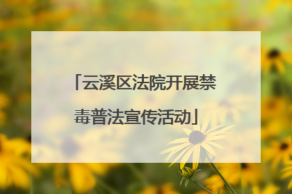 云溪区法院开展禁毒普法宣传活动