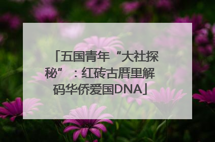 五国青年“大社探秘”：红砖古厝里解码华侨爱国DNA