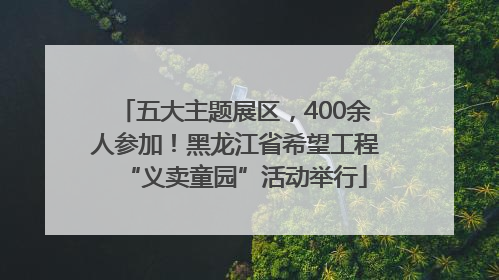 五大主题展区，400余人参加！黑龙江省希望工程“义卖童园”活动举行