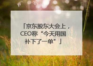 京东股东大会上，CEO称“今天用国补下了一单”