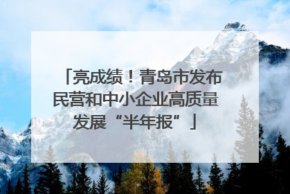 亮成绩！青岛市发布民营和中小企业高质量发展“半年报”