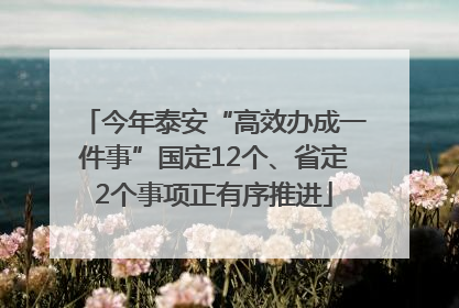 今年泰安“高效办成一件事”国定12个、省定2个事项正有序推进