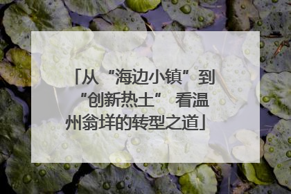 从“海边小镇”到“创新热土” 看温州翁垟的转型之道