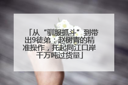 从“驯服抓斗”到带出9徒弟：赵树青的精准操作，托起同江口岸千万吨过货量