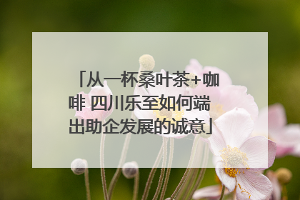 从一杯桑叶茶+咖啡 四川乐至如何端出助企发展的诚意
