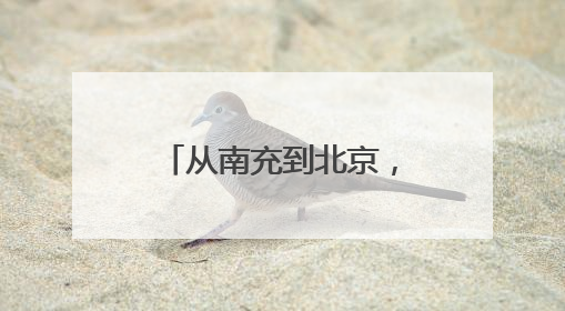 从南充到北京，之江小学学生唐海铃的日记本写满“梦想”和“世界”｜您牵挂的四川