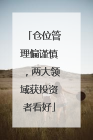 仓位管理偏谨慎，两大领域获投资者看好