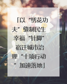 以“绣花功夫”缝制民生幸福“针脚” 宿迁城市治理“十项行动”加速落地