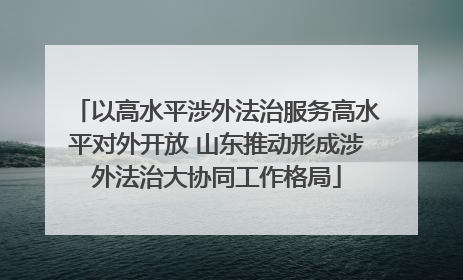 以高水平涉外法治服务高水平对外开放 山东推动形成涉外法治大协同工作格局