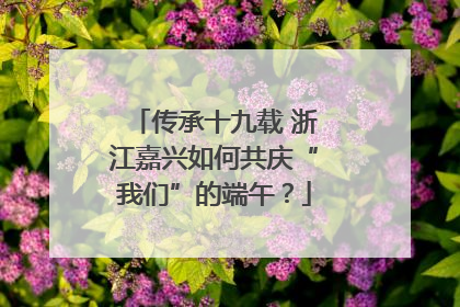 传承十九载 浙江嘉兴如何共庆“我们”的端午？