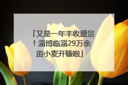 又是一年丰收盛景！淄博临淄29万余亩小麦开镰啦