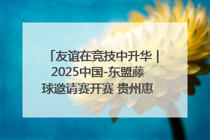 友谊在竞技中升华｜2025中国-东盟藤球邀请赛开赛 贵州惠水燃动“空中芭蕾”